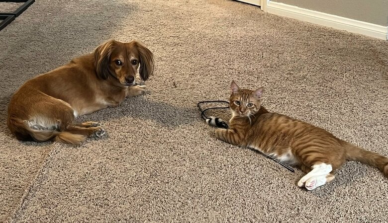 提供：和泉ユタカさん