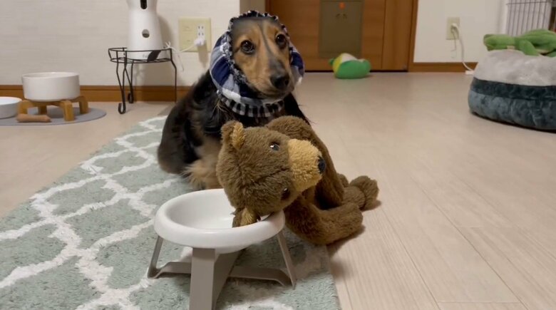 提供：るのんさん