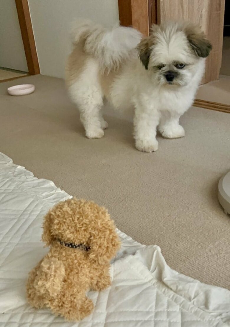 嫌悪感がすごい