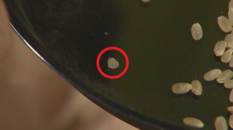 「胴割れ」したコメ