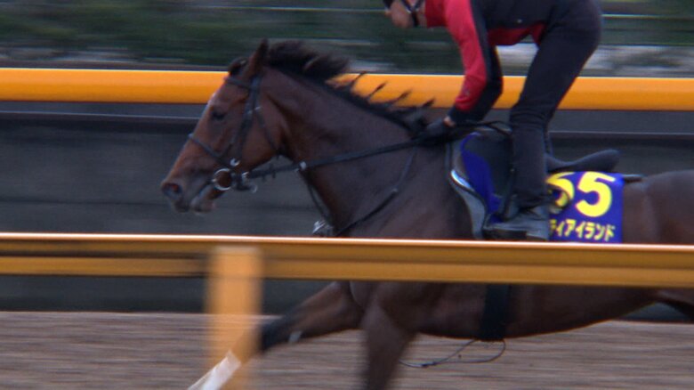 最終追い切りを行うリバティアイランド