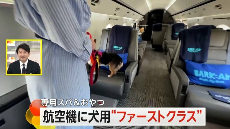 「ファーストクラス」並のペットサービスが始まったニューヨークとロサンゼルス間の国内線