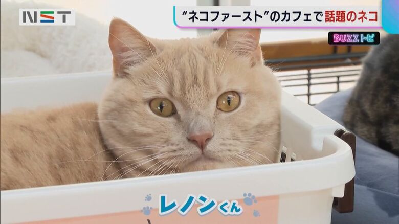 イケメンだと人気の レノンくん