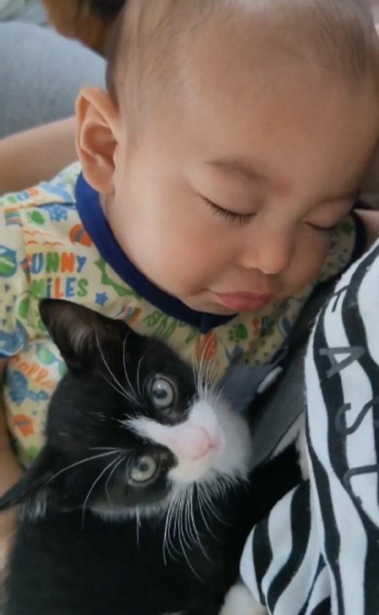 眠る蓮慈くんの上に乗るリヴァイくん