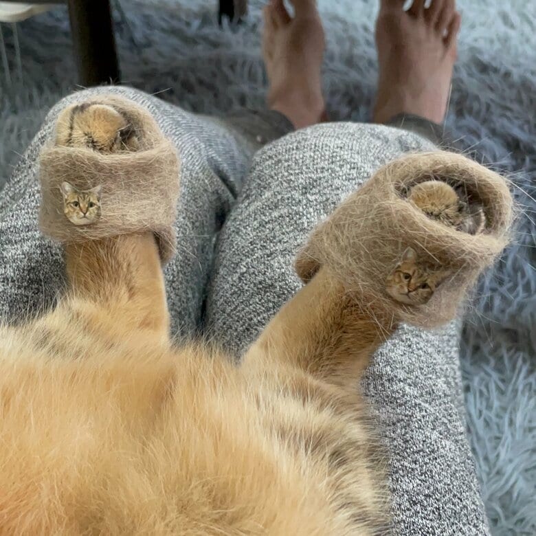 自分の猫毛で作られたスリッパ