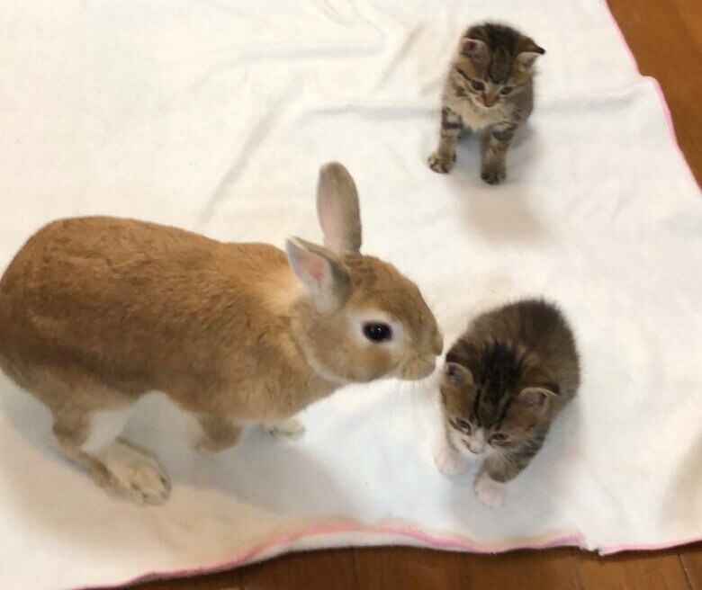 提供：もずく＆こんぶさん