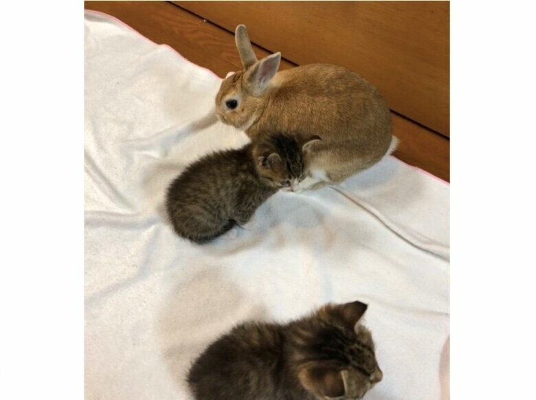 提供：もずく＆こんぶさん