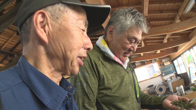 製茶工場で作業