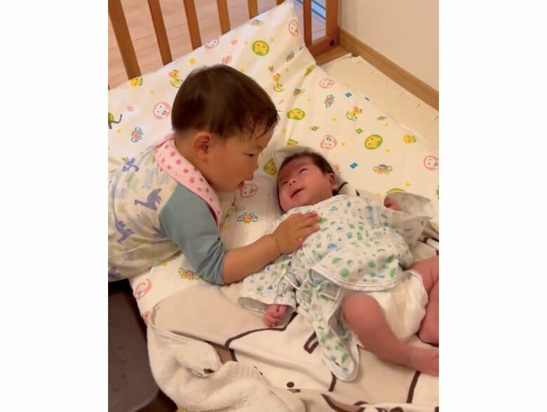 提供：＠zen_pokoさん