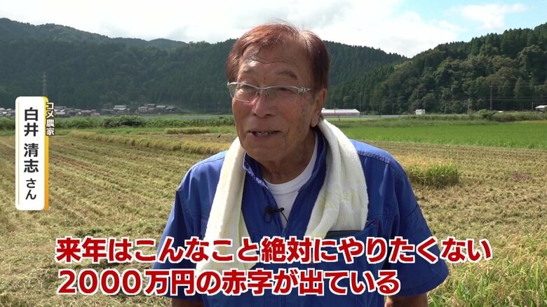 大規模農家でも経営を直撃するコメ価格の下落