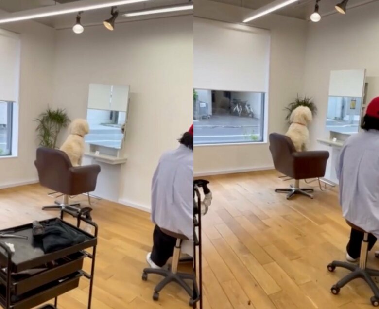 まるで人間のように座っている（提供：hair.axis）