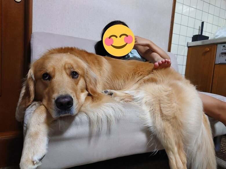 いつもベタベタしている