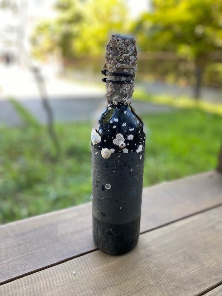 引き揚げられたビール（画像提供：東海大学海洋学部　合志明倫客員准教授）