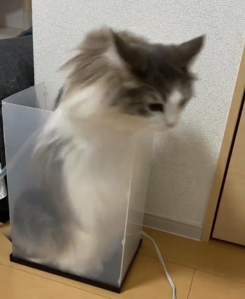 前脚に力を込めて