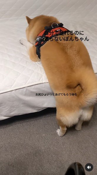 提供：natsumi.nnnさん