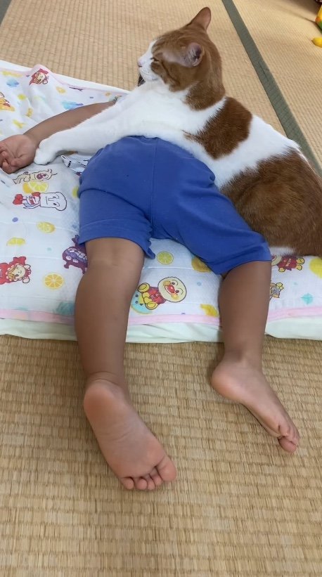 提供：Hassakuさん