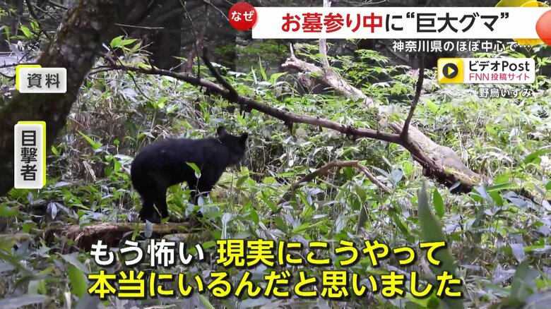 「現実にこうやって本当にいるんだって思いました」と恐怖を語った撮影者