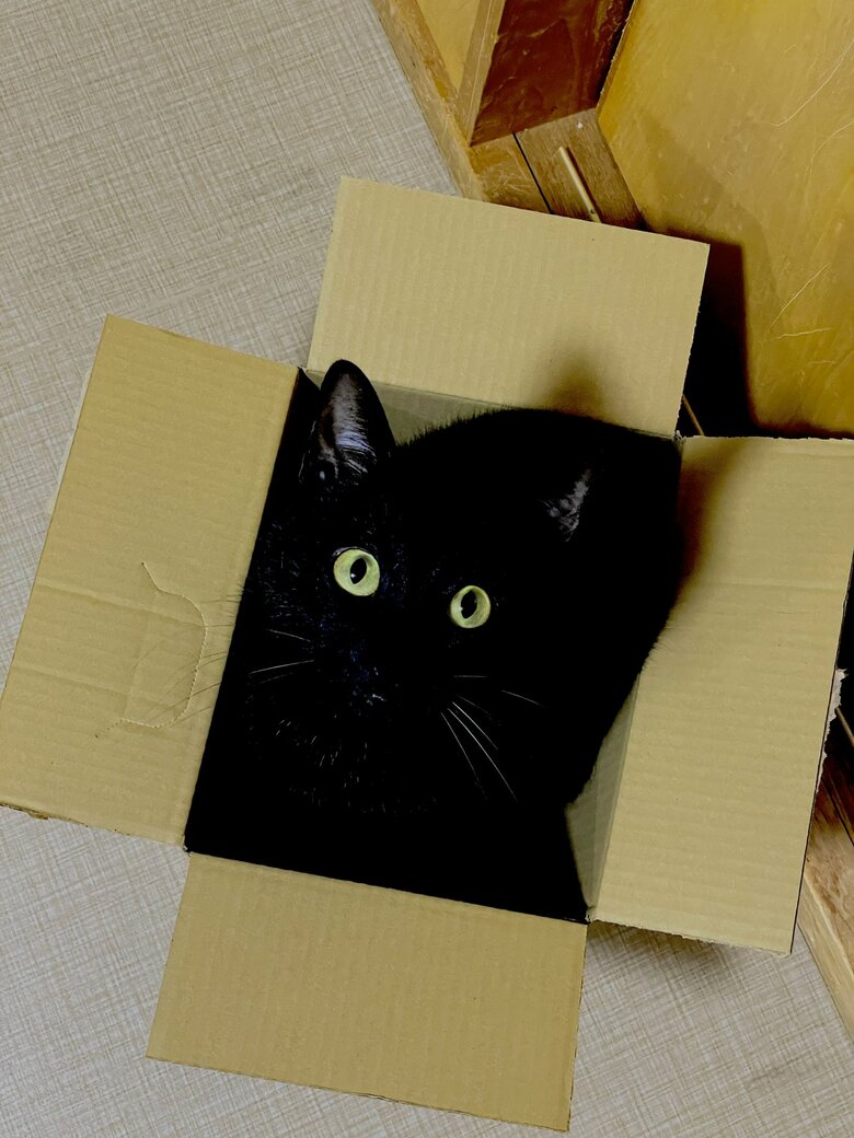 提供：マクーさん