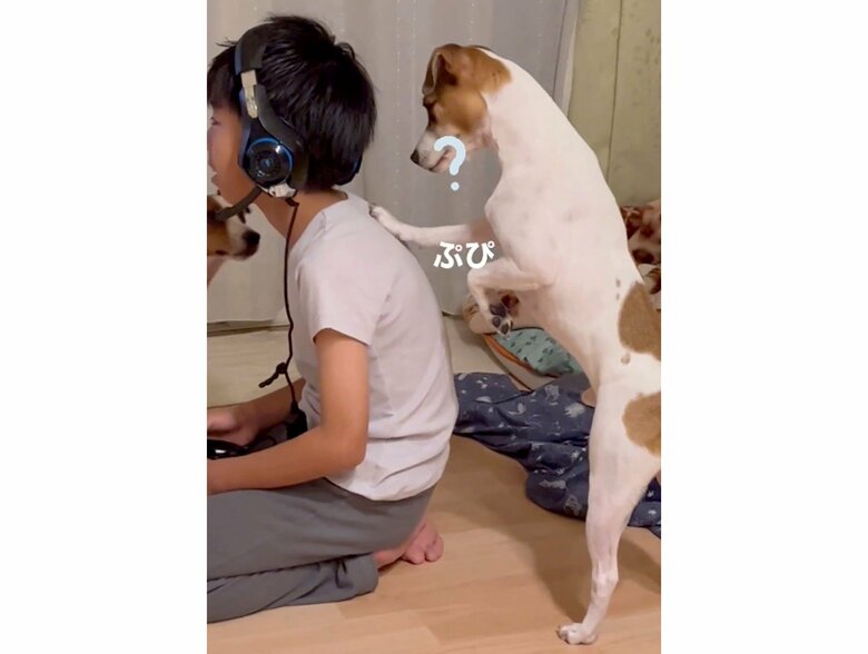 とっても不思議そう（提供：あずもなさん）