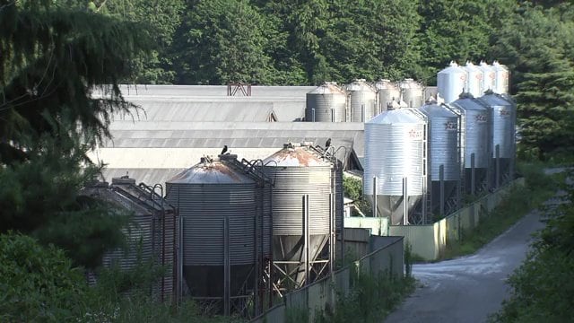 養豚場のふん尿処理設備が故障　適切に処理されていないものが流出