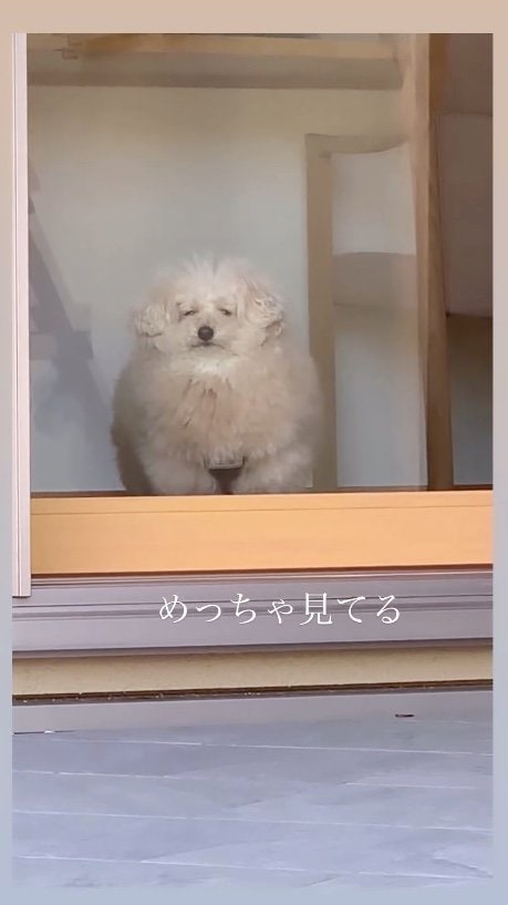 提供：＠tsuru_323さん