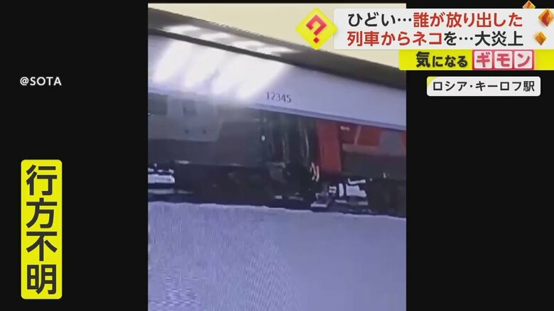 ロシア・キーロフ駅でネコのツイックスを車掌が列車の外に放り出す瞬間②