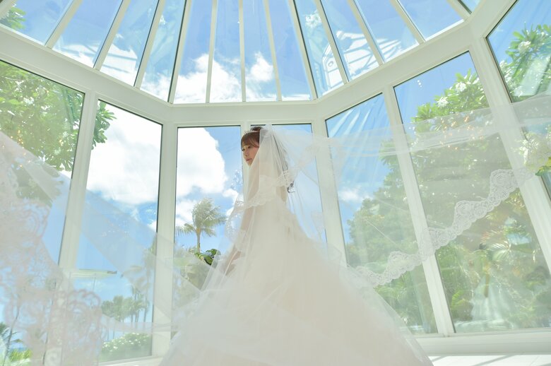 きょーちゃんが見ていた結婚式の写真（提供：今日のきょーちゃん）