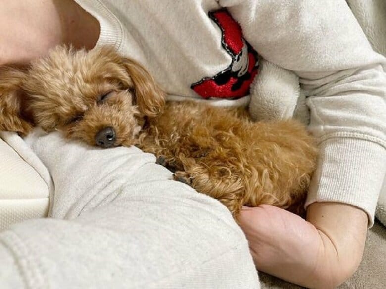 パパさんの腕の中でぐっすり