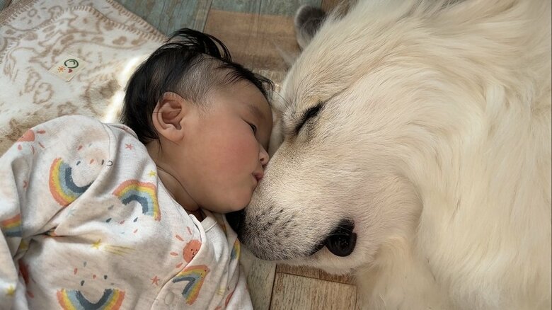 娘さんとよく添い寝をしているという