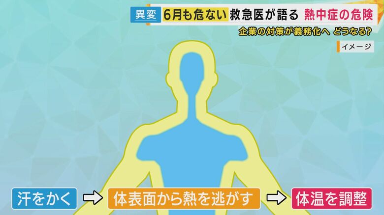 熱中症で、私たちの体には一体何が起きるのか