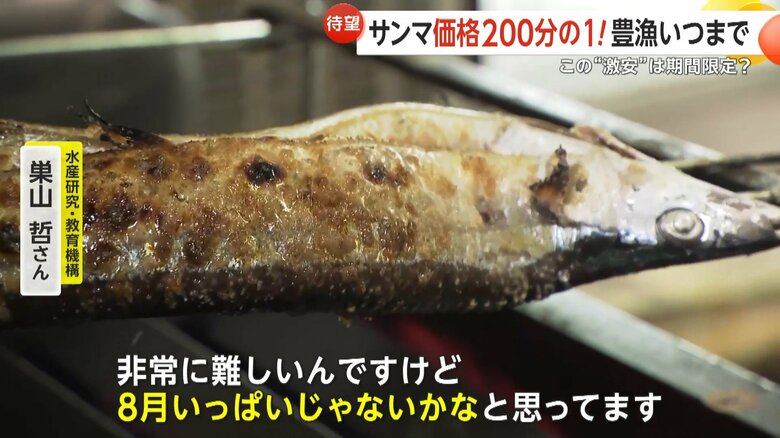 専門家はこの豊漁は8月いっぱいまでではないかと分析する