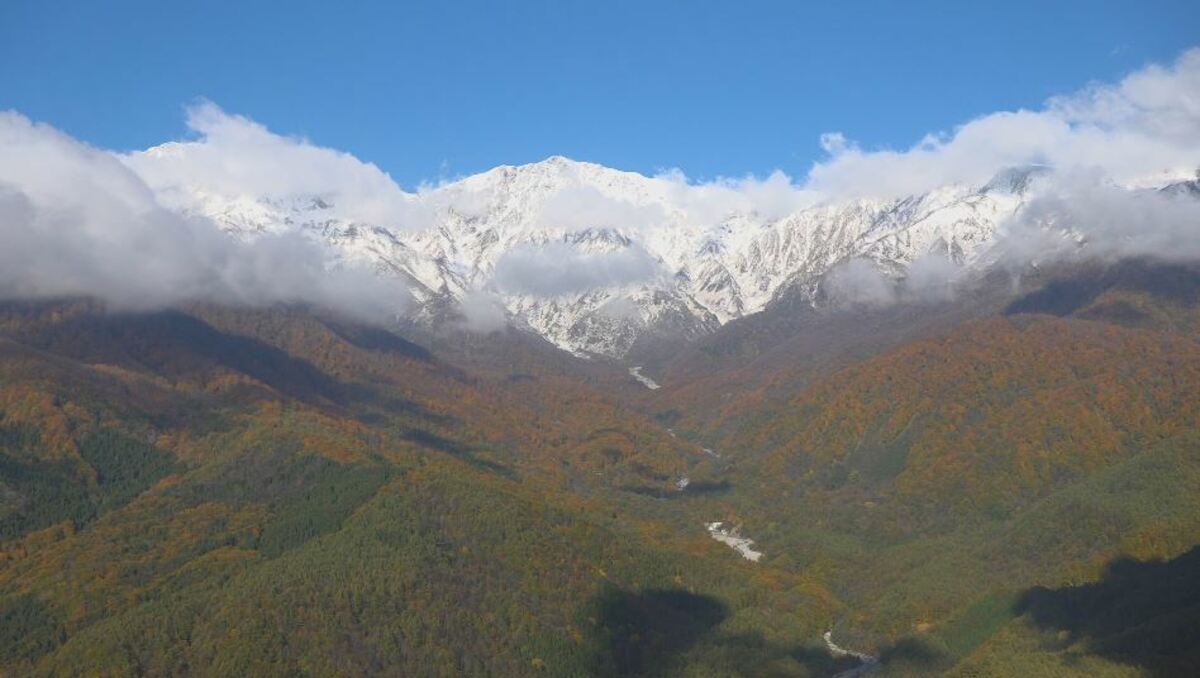 三段紅葉」白い雪・紅葉・緑 長野県白馬村｜FNNプライムオンライン