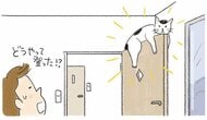 【猫あるある漫画】なんでそんなに猫しぐさ　第7回「なぜそこに…？猫の居場所はときどき不思議」