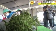 甘みとコクの強さで全国的人気・特産「だだちゃ豆」直売所オープン 小真木・甘露・白山…朝採れの新鮮なものだけを販売【山形発】
