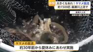 「自然が豊かであってほしい」中学生がヤマメ1500匹を放流【佐賀県】