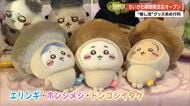 「ちいかわ」が高知にやってきた!今年はもふもふ“キノコ姿”も ポップアップストア開催中