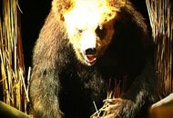 日本史上最悪の獣害「三毛別ヒグマ事件」から110年―今も続くクマとの闘い―先人の誓いを胸に巨大グマから町を守り続ける地元猟師の決意とは「撃たなければならないから、撃つ」＜北海道苫前町＞