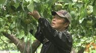 九州北部豪雨9年 大規模土砂崩れ現場には特産のナシの団地 教訓を防災に生かす地域も　大分県日田市
