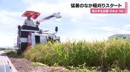 県内まだまだ猛暑のなか、例年より１週間早く稲刈りスタート　早生品種「ゆめみづほ」　
