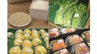 長久手市を中心に旬の食材が…愛知県産品にこだわる「あぐりん村」
