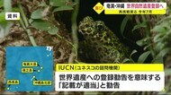 “再挑戦”実る 奄美・沖縄 世界自然遺産登録へ