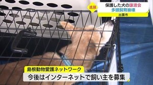 譲渡会で新たな飼い主続々 8畳2間に犬が最大182匹の多頭飼育崩壊に進展(島根・出雲市)