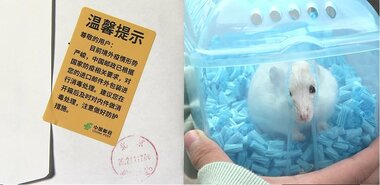 感染ルートは国際郵便とハムスター?! 中国が死守する薄氷の“ゼロコロナ”