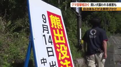 「クマが飼い犬に覆いかぶさる」「クマが車のボンネットに覆いかぶさる」　犬の悲鳴で外へ…金属バッドで追い払うが、顔にケガ　松本市の県道では車に向かって…車にキズ　長野で被害が相次ぐ