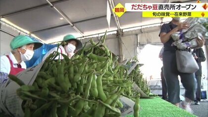 甘みとコクの強さで全国的人気・特産「だだちゃ豆」直売所オープン 小真木・甘露・白山…朝採れの新鮮なものだけを販売【山形発】