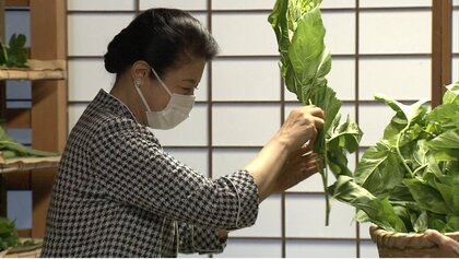 皇后さま皇居で育てる蚕に桑の葉与えられる　「まだまだ大きくなりますね」　日本古来の品種「小石丸」に