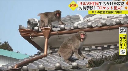 【サルvs住民】豆やネギを食い荒らし、住宅設備まで破壊　「こら！」怒りのロケット花火で対抗…発信器で位置特定も