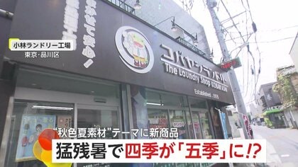 異例の残暑で衣替え進まず“客離れ”「絶望的」クリーニング店の嘆き　四季が“五季”に？…秋冬モノの商品展開にも異変が