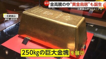 金のパワーもらえそう」50本ズラリ「黄金鳥居」が話題…伊豆・土肥金山