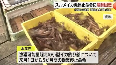「完全な死活問題」漁師が憤りの声　スルメイカ操業停止命令で収入ゼロに…国の補償求める声相次ぐ（鳥取）